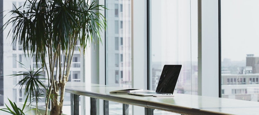 A turned off laptop and tall plant in front of a glass window, by Alesia Kazantceva.